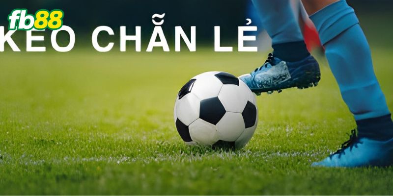 Đôi nét cơ bản kèo chẵn lẻ