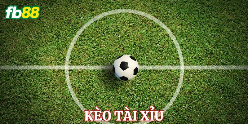 Tổng quan về kèo tài xỉu bóng đá hấp dẫn tại nhà cái
