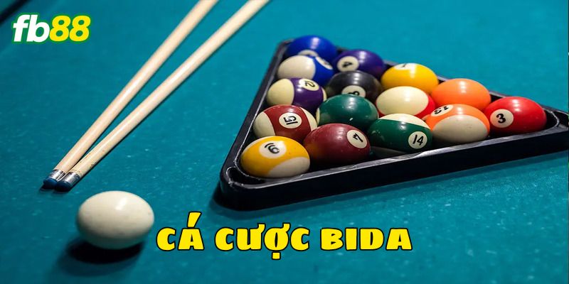Cá cược bida thu hút nhiều người chơi