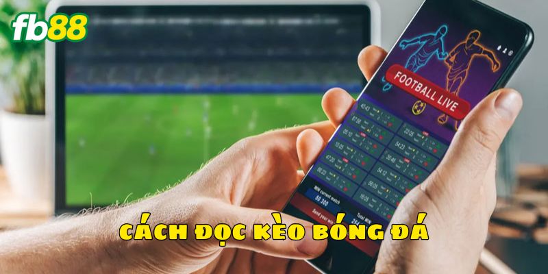 Cách đọc kèo bóng đá vô cùng quan trọng trong cá cược