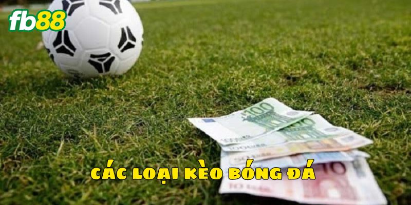 Đôi nét về các loại kèo bóng đá
