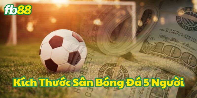 Kích Thước Sân Bóng Đá 5 Người và vòng cấm địa