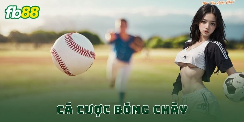Cá Cược Bóng Chày FB88