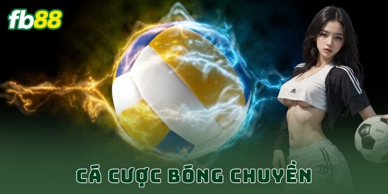 Cá Cược Bóng Chuyền FB88