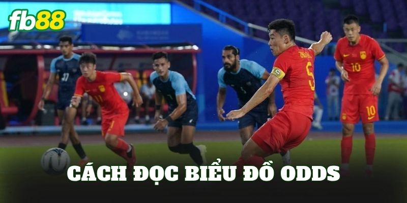 Cách Đọc Biểu Đồ Odds