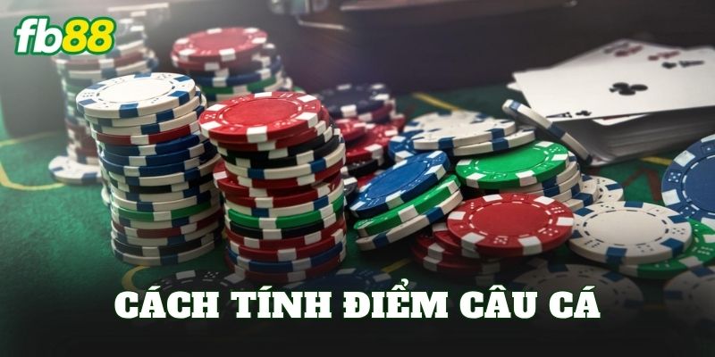 Cách Tính Điểm Câu Cá
