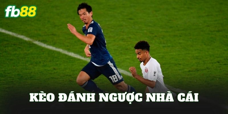Kèo Đánh Ngược Nhà Cái