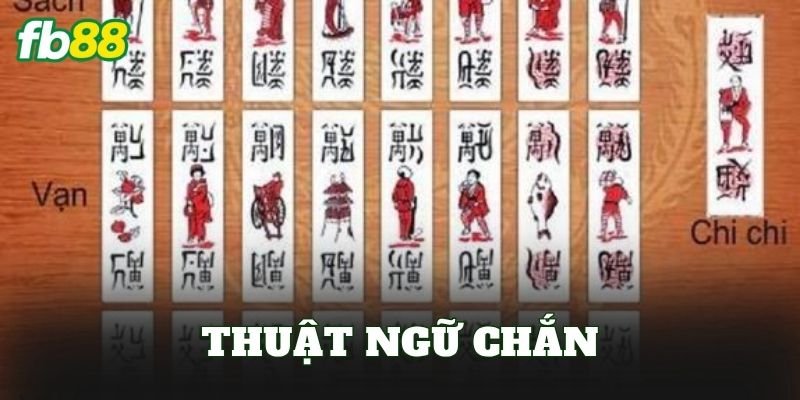Thuật Ngữ Chắn